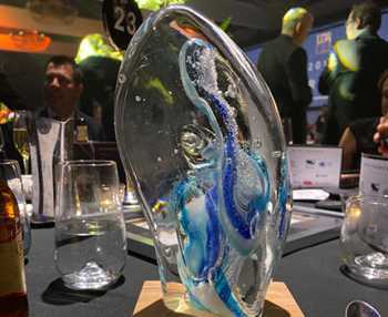 The IDIA WA Awards Trophy