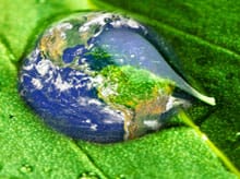 Thumbnail for the article 'Into-the-Green--thumbnail.jpg'